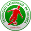 Recopa Catarinense