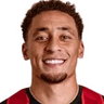 M. Tavernier